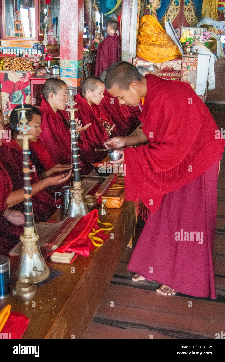 Les moines bouddhistes tibétains le coup de klaxon ou dungchen à Ani, Gumba Sherpa un monastère bouddhiste à l'intérieur du Parc National de Shivapuri, Népal Banque D'Images