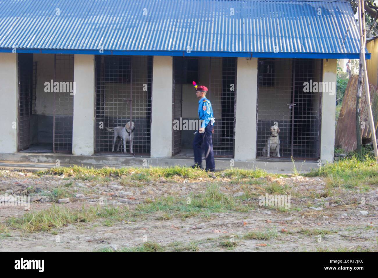 Repetto Noémie / Le pictorium - festival tihar au Népal, Katmandou. culte des chiens à l'école de formation de chiens policiers. - 19/10/2017 - Népal - KATMANDOU / festival tihar au Népal, Katmandou. culte des chiens à l'entraînement de chiens policiers à l'école. Meilleur chien de police de la cérémonie de la police népalaise, ainsi que la cérémonie de la retraite. depuis la fête des lumières ont également eu lieu, la police et les citoyens ont participé à l'adoration de chien comme le veut la tradition. Banque D'Images