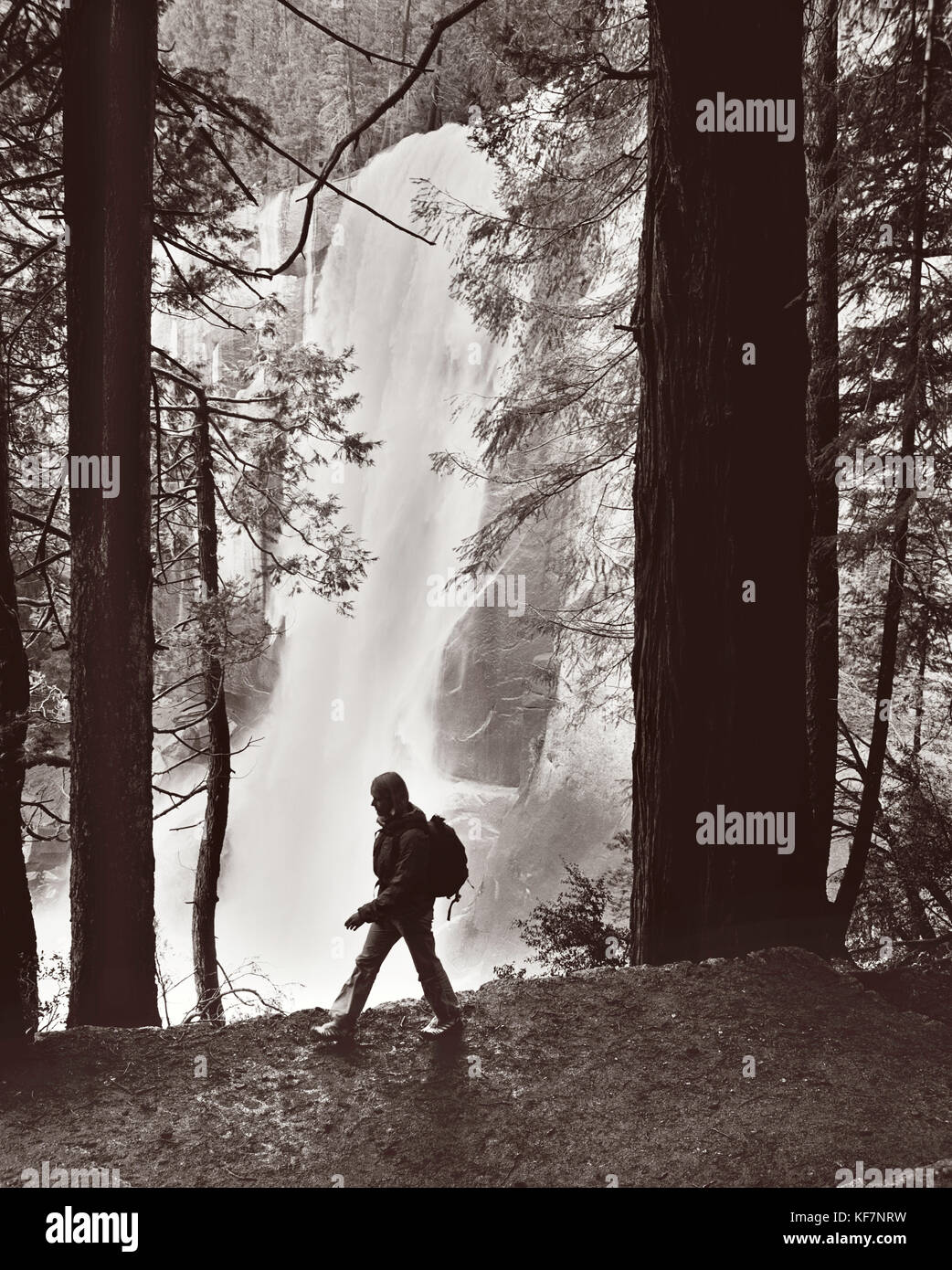 États-unis, Californie, Yosemite National Park, une femme randonnées le sentier vers le bas à partir de chutes vernal (b&w) Banque D'Images