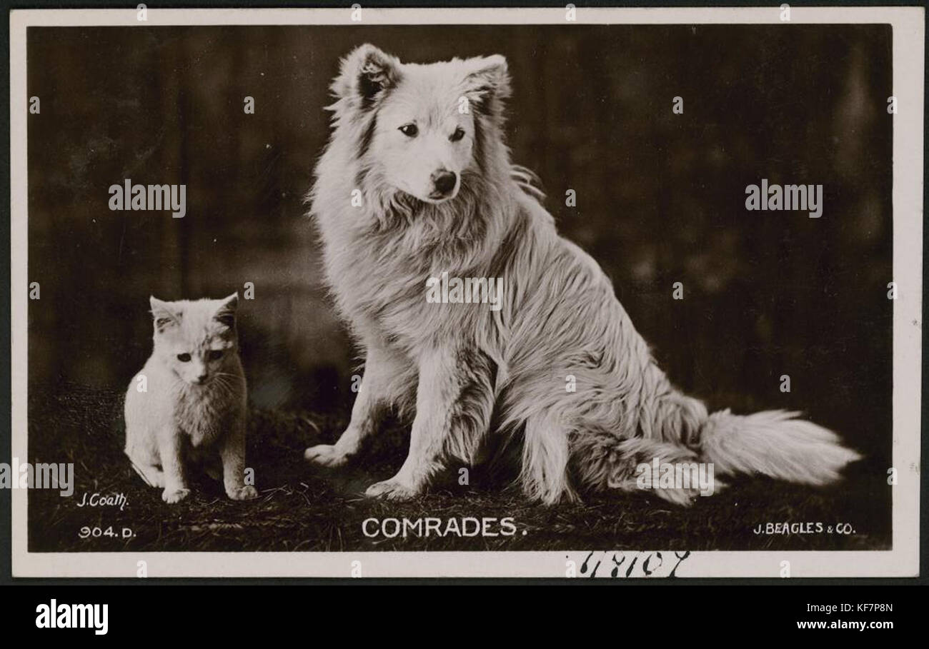 Collection de cartes postales et des scènes d'outre-mer de l'Australie, 1925 (8285826681) Banque D'Images