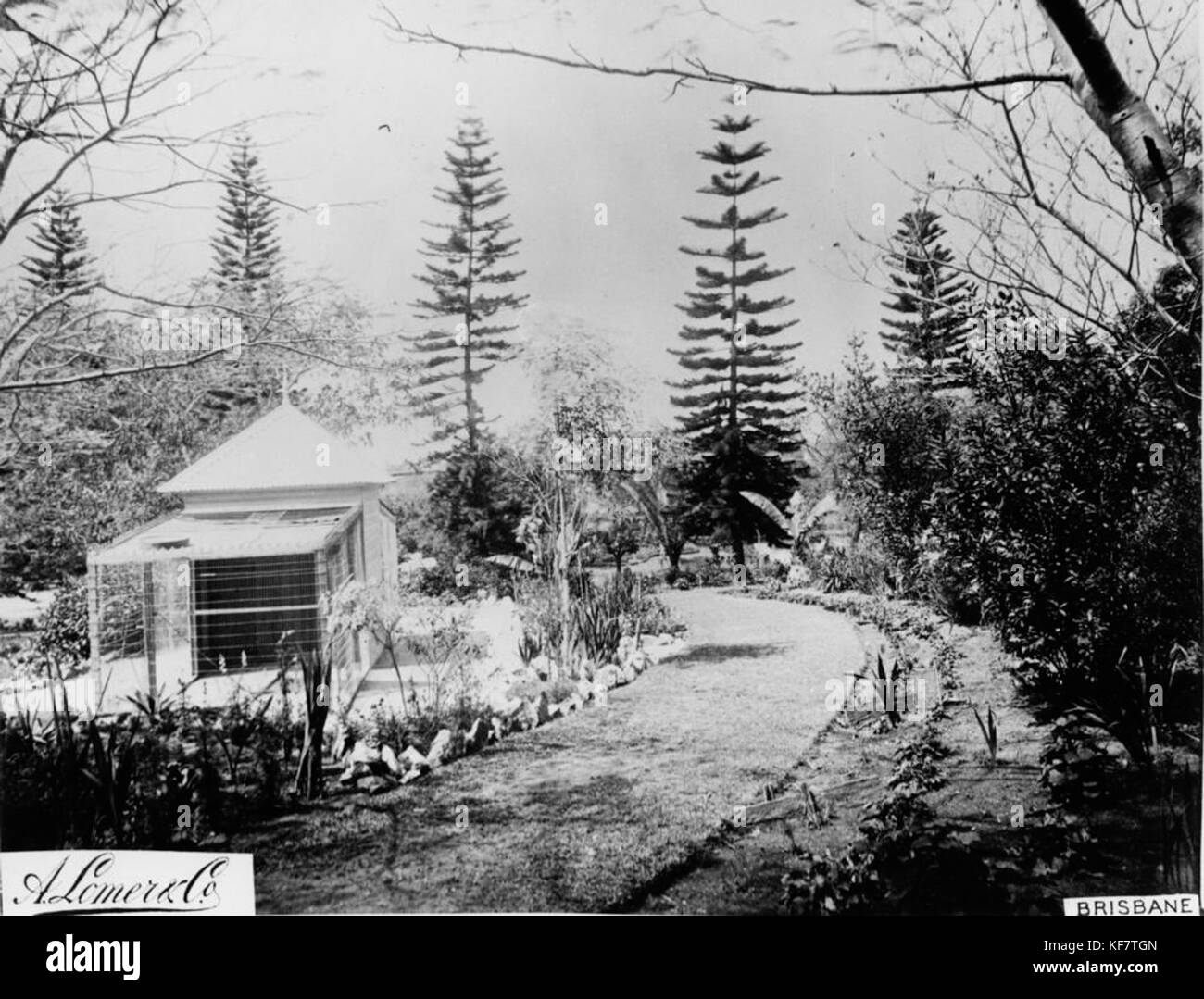 1107848 volière et jardins d'acclimatation à Bowen Park, Brisbane, ca. 1889 Banque D'Images