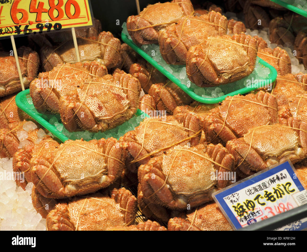 Crabe de Horsehair cuit bouilli (Kegani) sur glace à vendre sur un marché japonais du poisson à Sapporo, Hokkaido, Japon Banque D'Images