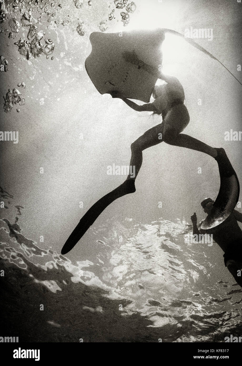 Les îles Caïmans, grand cayman, snorkeling avec les raies pastenagues à Sting Ray City dans la mer des caraïbes (b&w) Banque D'Images