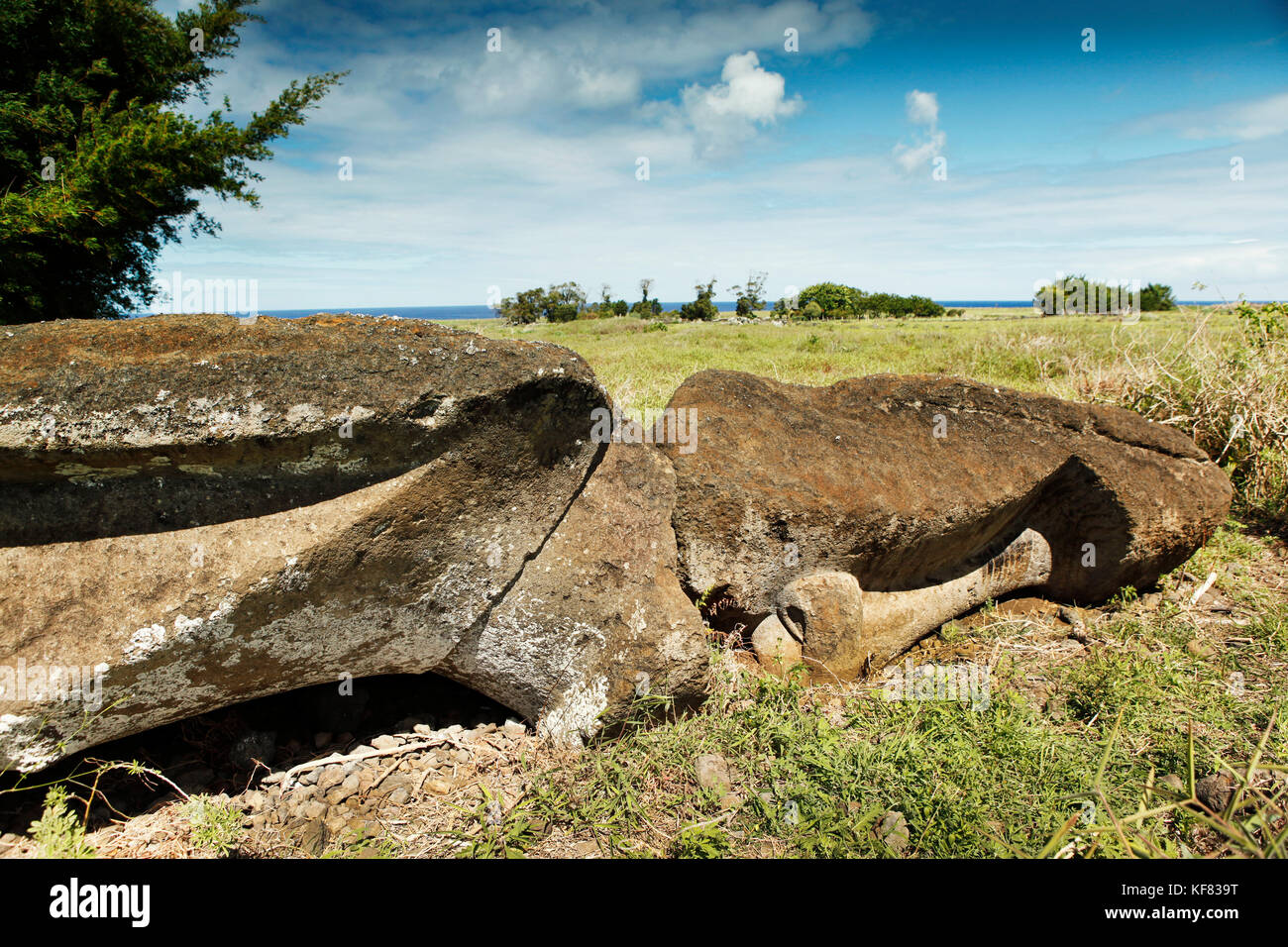 L'île de Pâques, chili, Isla de Pascua, rapa nui, un moai de pierre jette face vers le bas dans un paysage Banque D'Images