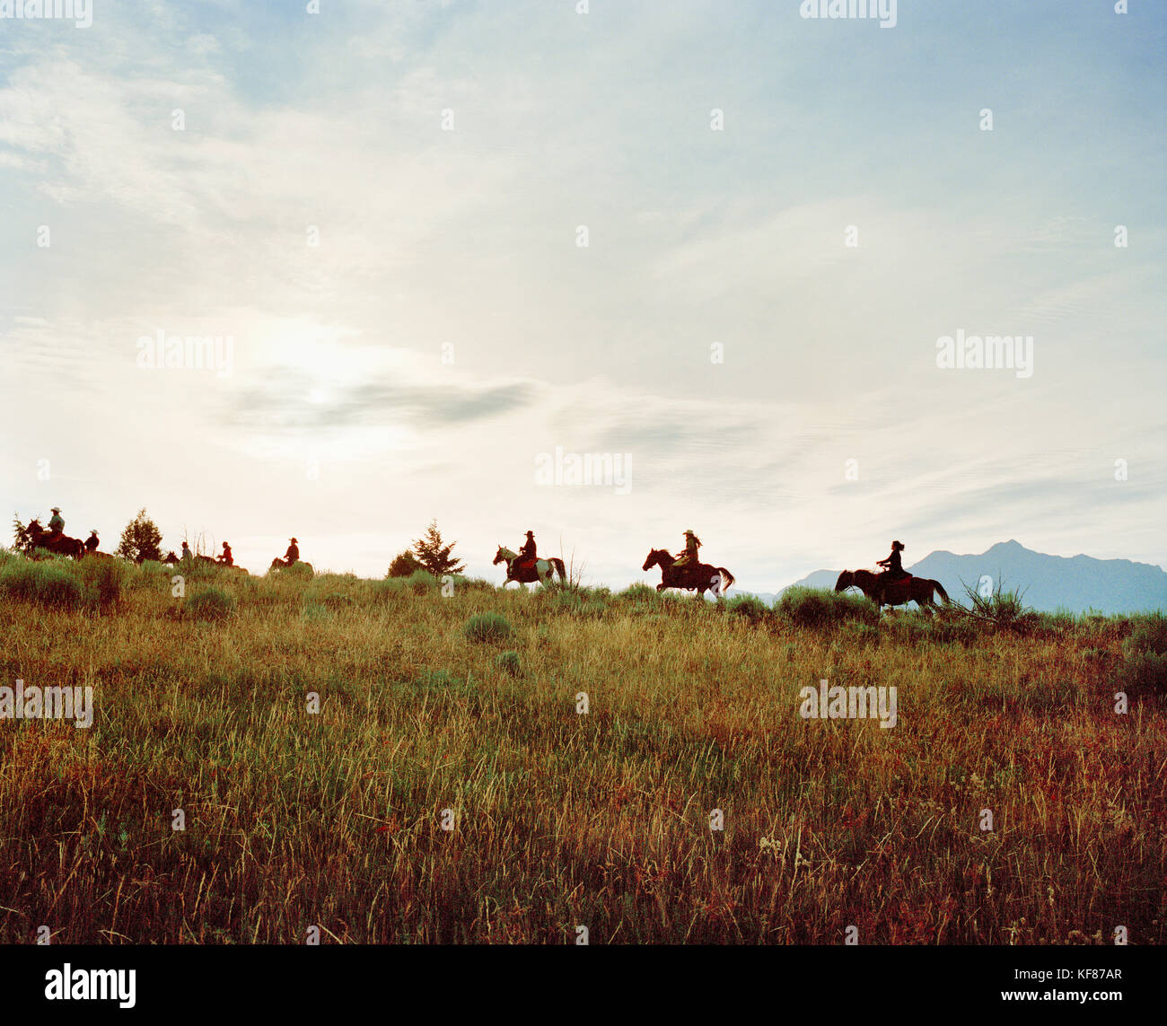 Usa, Montana, cowboys et cowgirls équitation chevaux à l'aube, Gallatin National forest, emigrant Banque D'Images