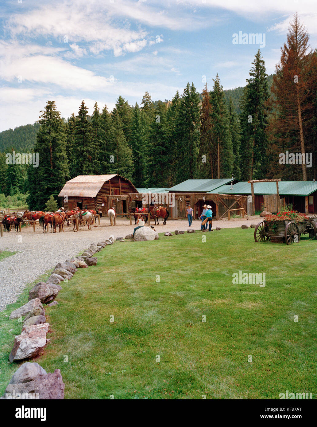 Usa, Montana, stable et chevaux avec cowboys et cowgirls, sky mountain guest ranch Banque D'Images