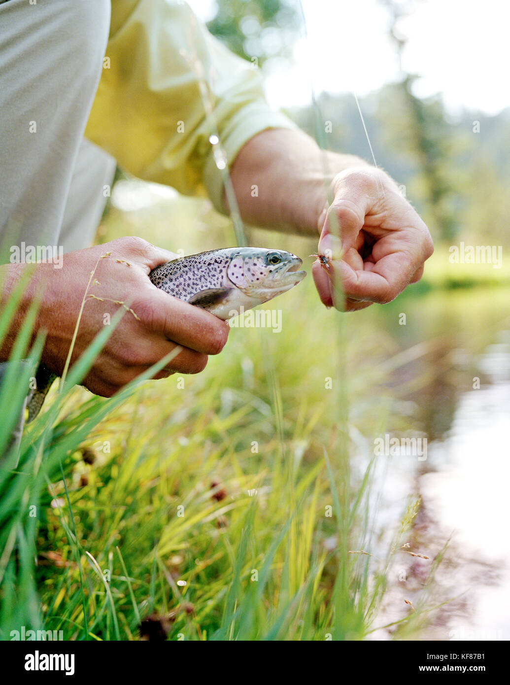 Usa, Montana, l'homme tenant une truite arc-en-ciel de montagne, il a attrapé guest ranch Banque D'Images