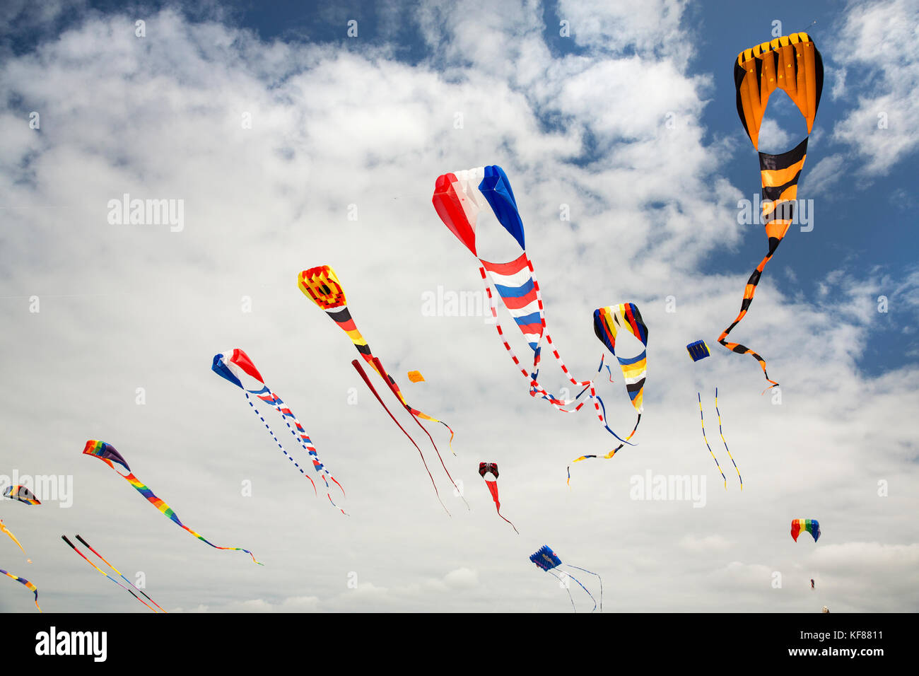 Usa, l'état de Washington, la péninsule de Long Beach, grand cerf-volants volent au vent à l'international du cerf-volant Banque D'Images