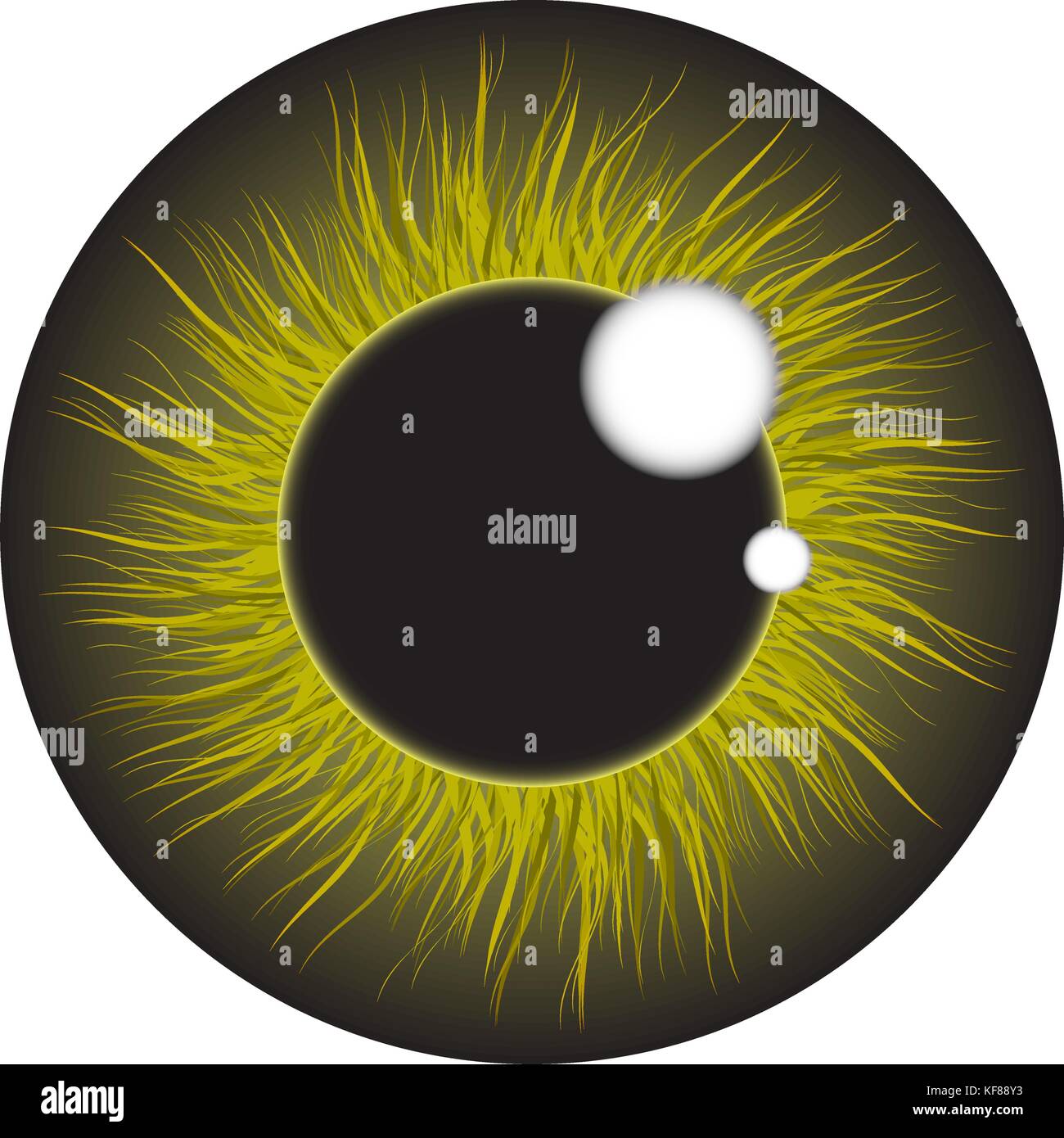 Iris vert eye vecteur réaliste scénographie isolé sur fond blanc Illustration de Vecteur