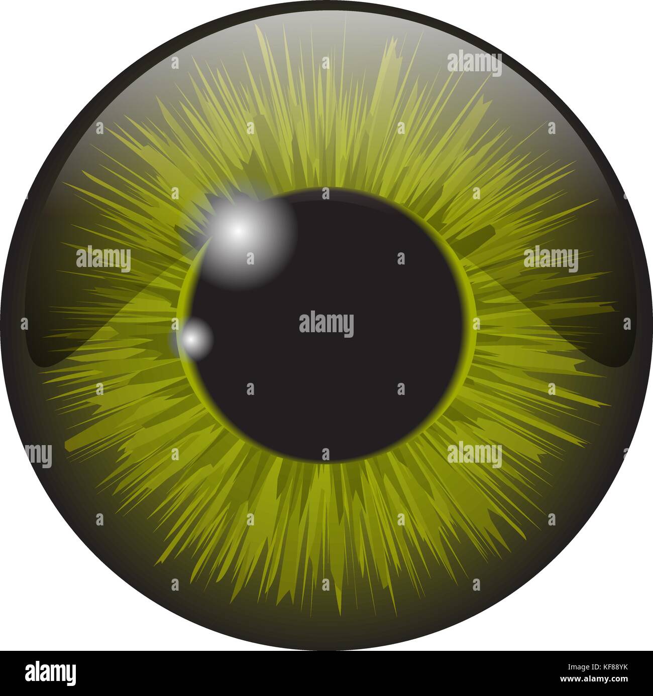 Iris vert eye vecteur réaliste scénographie isolé sur fond blanc Illustration de Vecteur