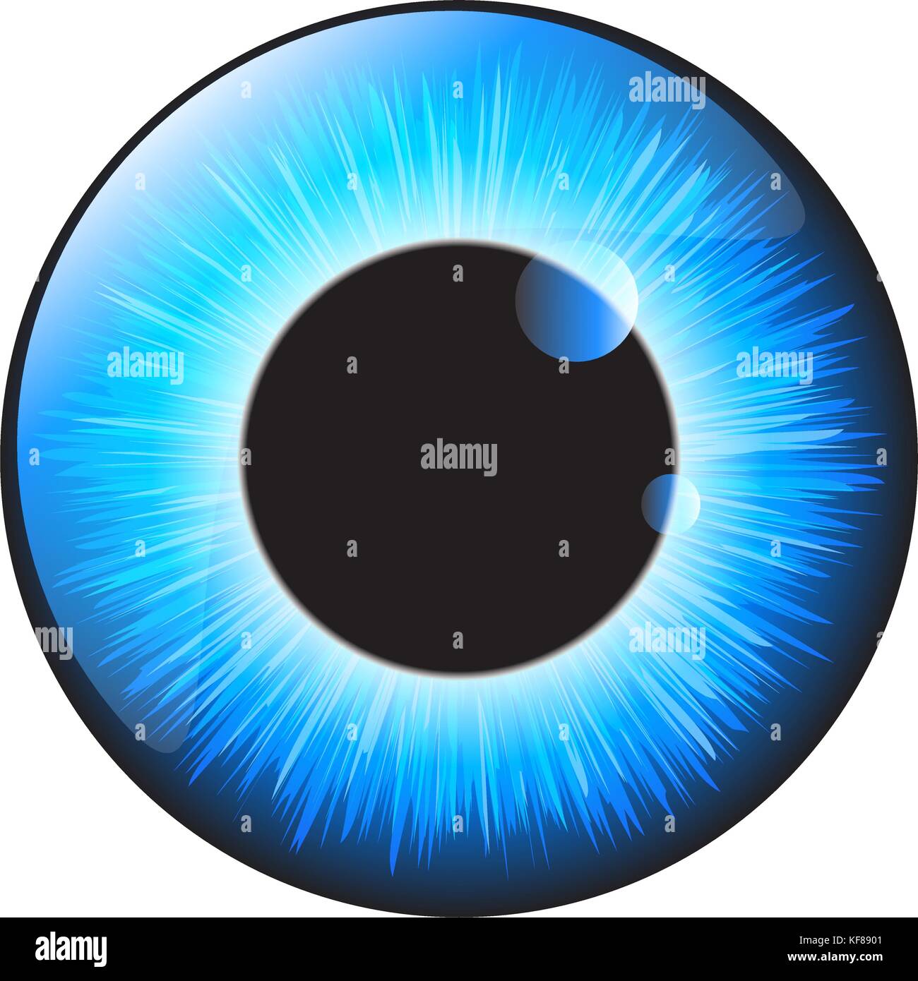 Iris bleu eye vecteur réaliste scénographie isolé sur fond blanc Illustration de Vecteur