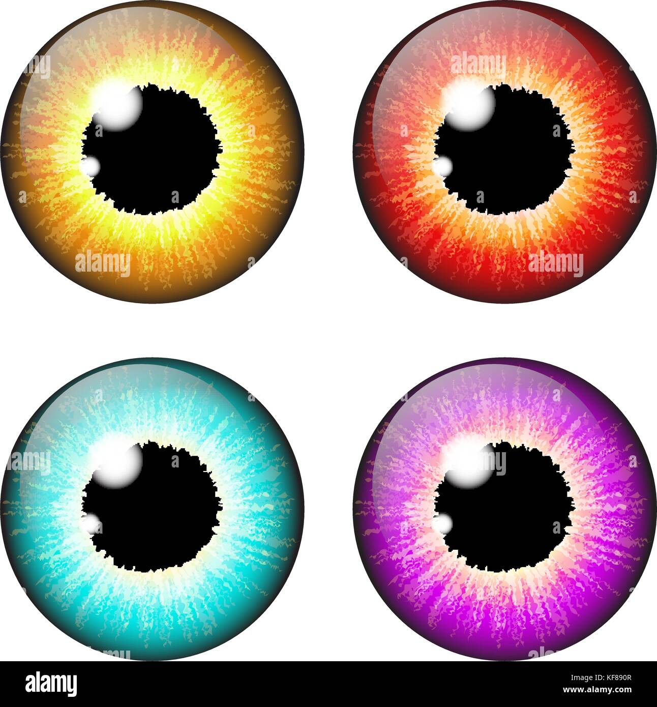 Iris eye vecteur réaliste scénographie isolé sur fond blanc Illustration de Vecteur