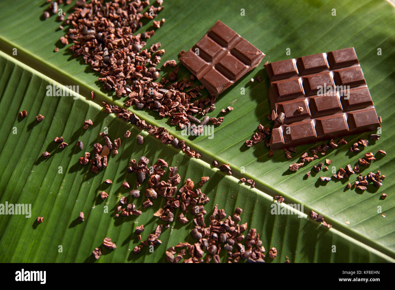 Belize, Punta Gorda, Toledo, vous pourrez participer à un bean pour bar chocolat classe où ils vont participer à l'ensemble du processus de transfo Banque D'Images