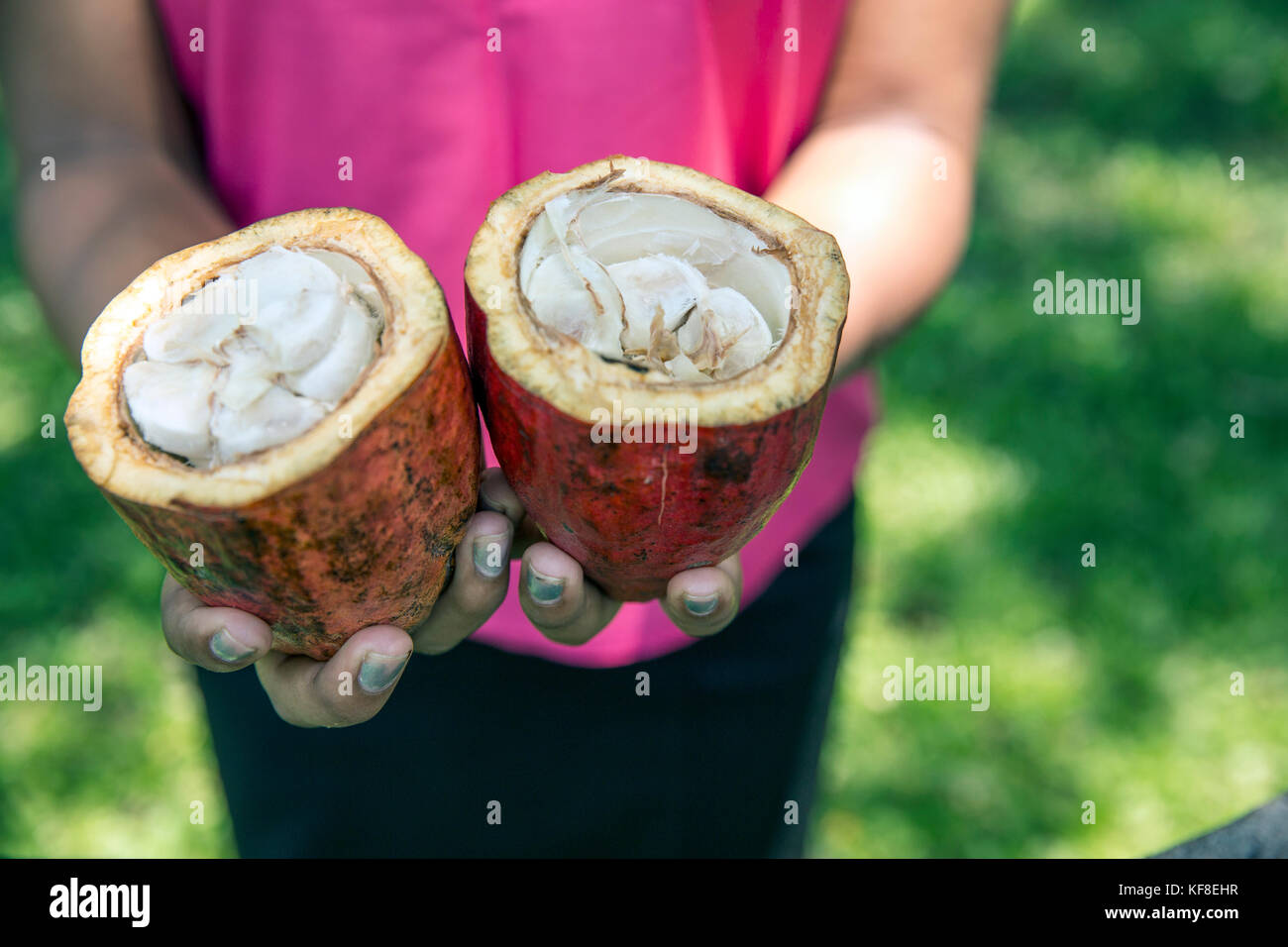 Belize, Punta Gorda, Toledo, vous pourrez participer à un bean pour bar chocolat classe où ils vont participer à l'ensemble du processus de transfo Banque D'Images