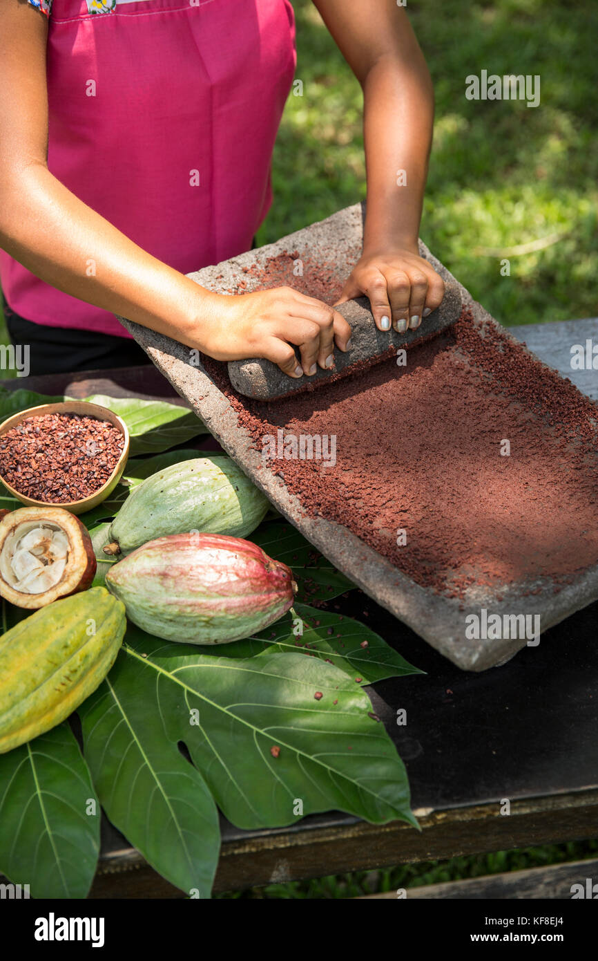 BELIZE, Punta Gorda, Toledo, vous pourrez participer à un Bean pour Bar Chocolat classe où ils vont participer à l'ensemble du processus de transfo Banque D'Images