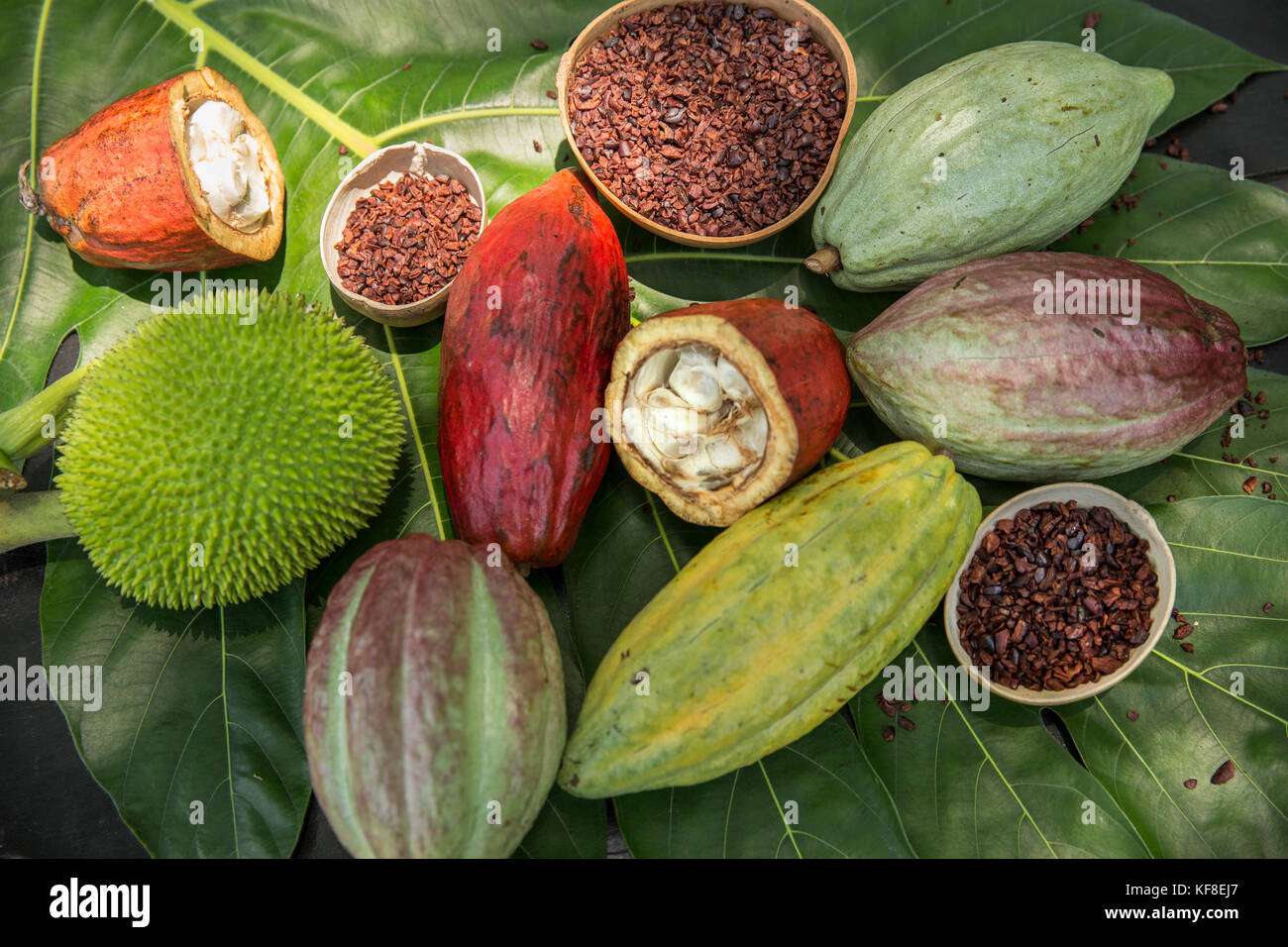 Belize, Punta Gorda, Toledo, vous pourrez participer à un bean pour bar chocolat classe où ils vont participer à l'ensemble du processus de transfo Banque D'Images