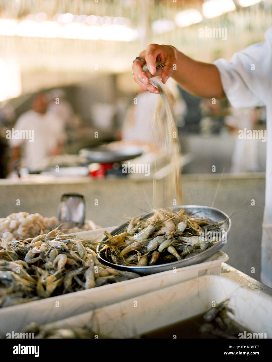 Brésil, Bélem, l'Amérique du Sud, amazone, les crevettes à la vente à le marché à Belem Banque D'Images