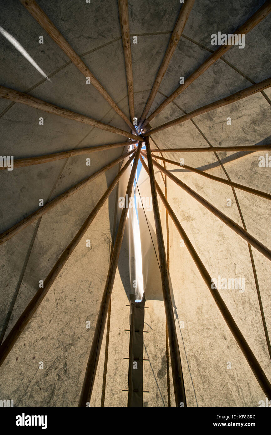 Usa, Ohio, Willamette Valley, de l'intérieur d'un tipi dans les vignes à l'eyrie vineyards, Dayton Banque D'Images