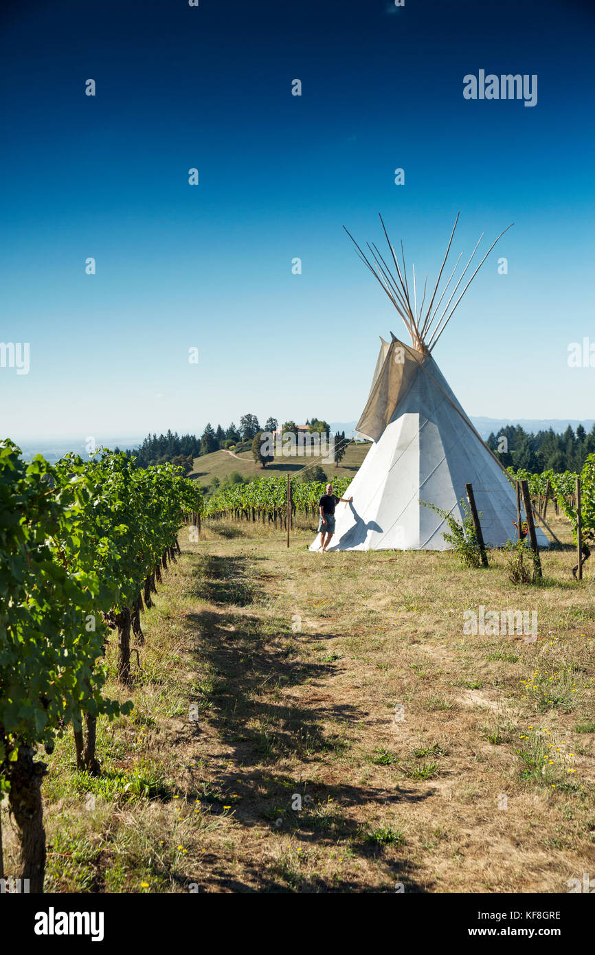 USA, Oregon, vallée de la Willamette, paysage d'un tipi dans les vignes aux vignobles Eyrie, Dayton Banque D'Images