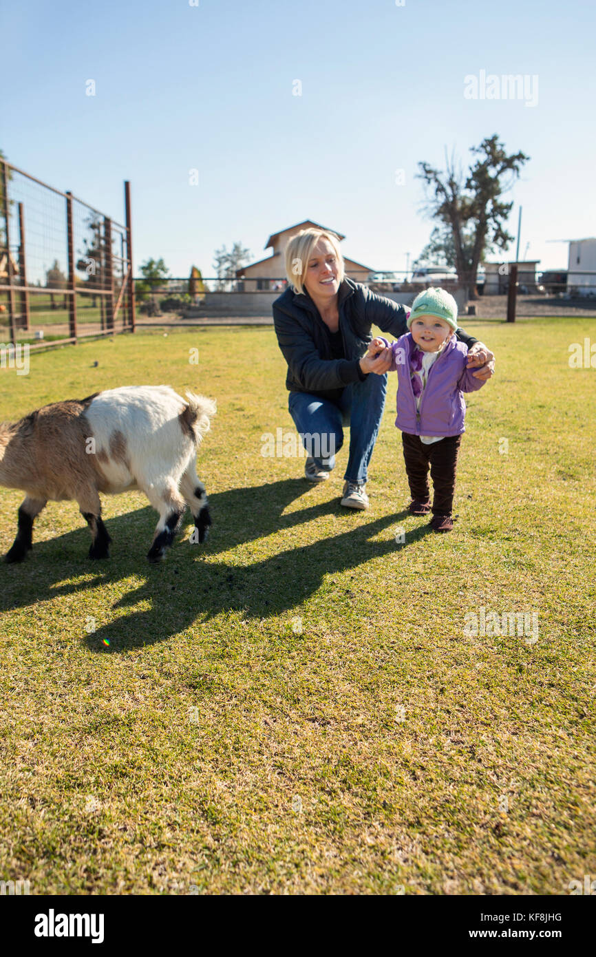 Usa (Oregon, bend, de jeunes enfants se rendent à l'animal Les animaux de ferme à l'assemblée annuelle de citrouilles situé dans la région de terrebone près de smith rock state park Banque D'Images