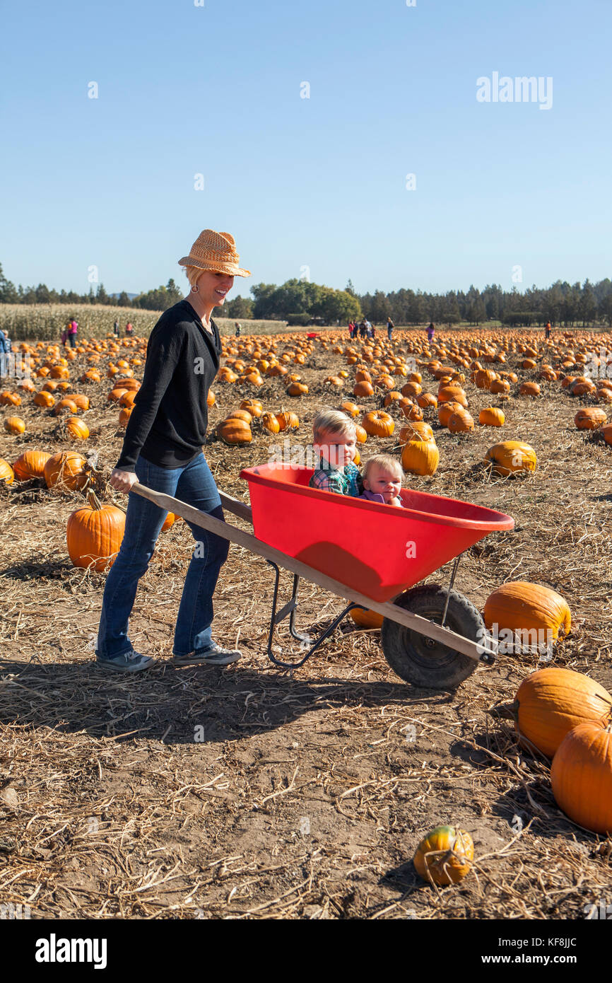 Usa (Oregon, bend, une mère roues autour de ses deux enfants, assis dans une brouette à l'assemblée annuelle de citrouilles situé dans près de terrebone smith ro Banque D'Images