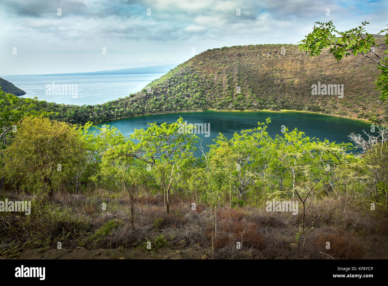 Îles Galapagos, Equateur, tangus cove vu tout en explorant autour du côté nord-ouest de l'île Isabela Banque D'Images