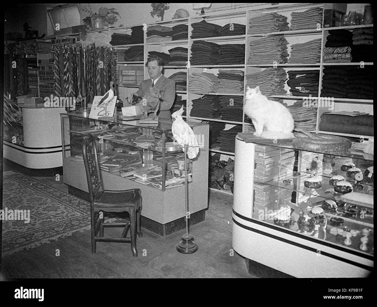 31871 animaux de zoo privé Hood s'inscrire l'identifie comme Ken Read Whyalla Banque D'Images 31871 animaux de zoo privé Hood s'inscrire l'identifie comme Ken Read Whyalla Banque D'Images