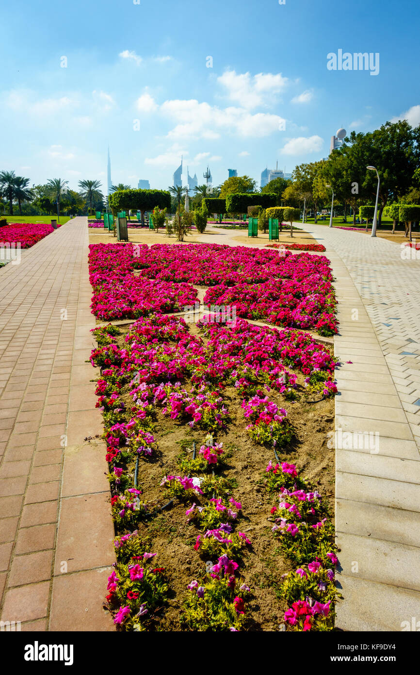 Ruelles et rose ... lits dans zabeel park à Dubaï avec le centre-ville dans la toile Banque D'Images