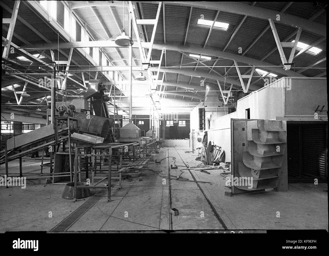 13373 Cahills nouvelle usine Banque D'Images