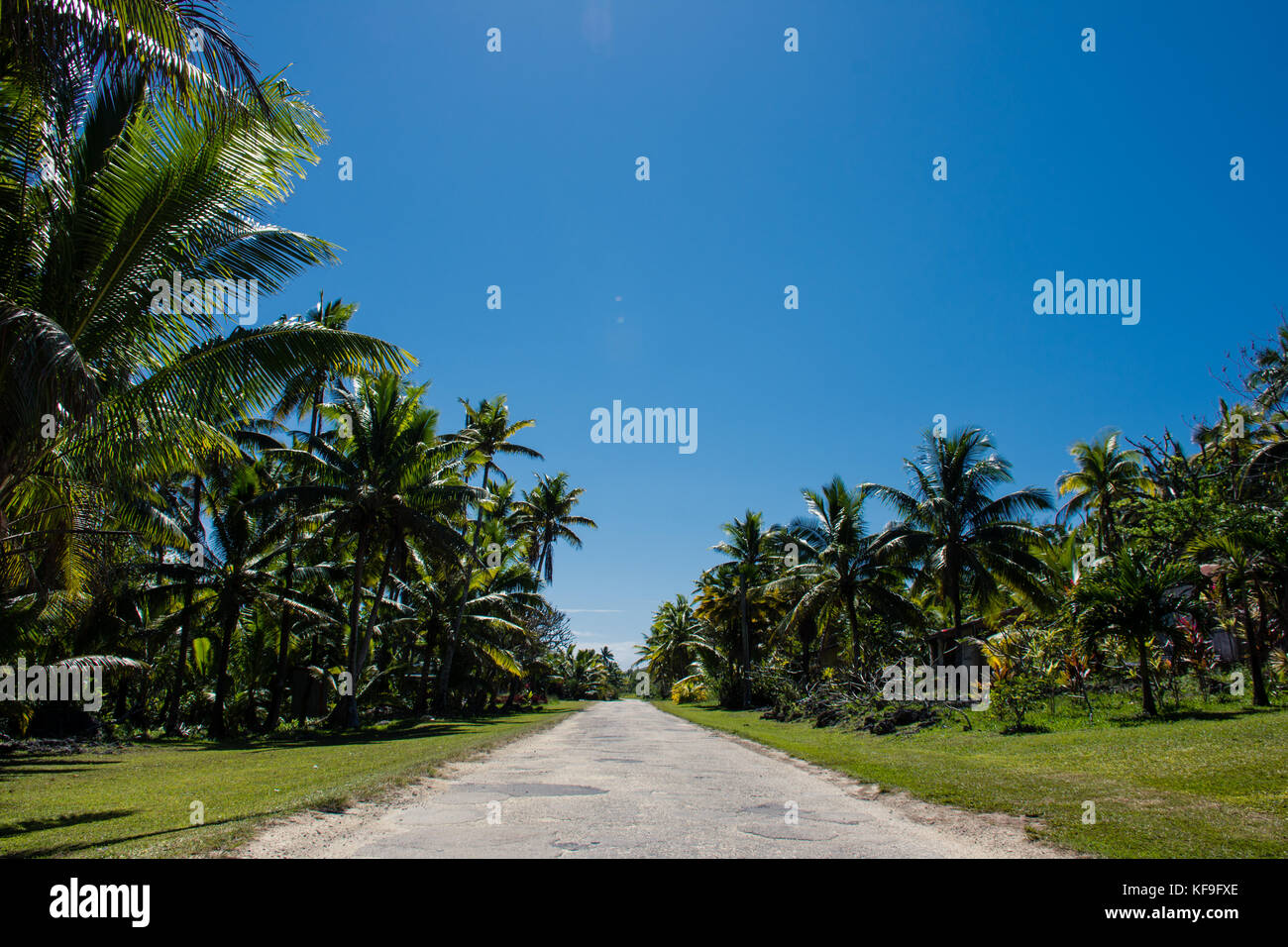 Sur la route de l'île de Niue Banque D'Images