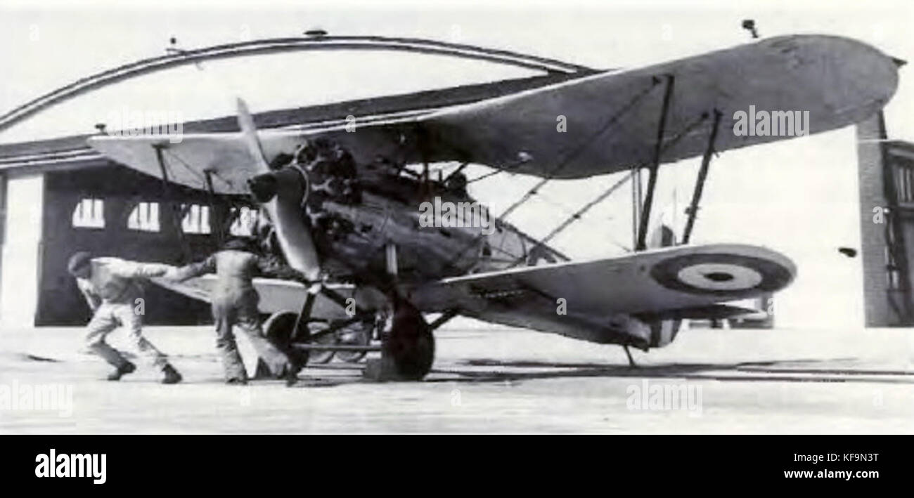 Le Bulldog Fighter Squadron de la Royal Australian Air Force (RAAF) représente une unité de combat aérien spécialisée dans les avions de chasse. Cet escadron a une histoire de défense aérienne et de missions de combat au cours de diverses opérations militaires. Banque D'Images