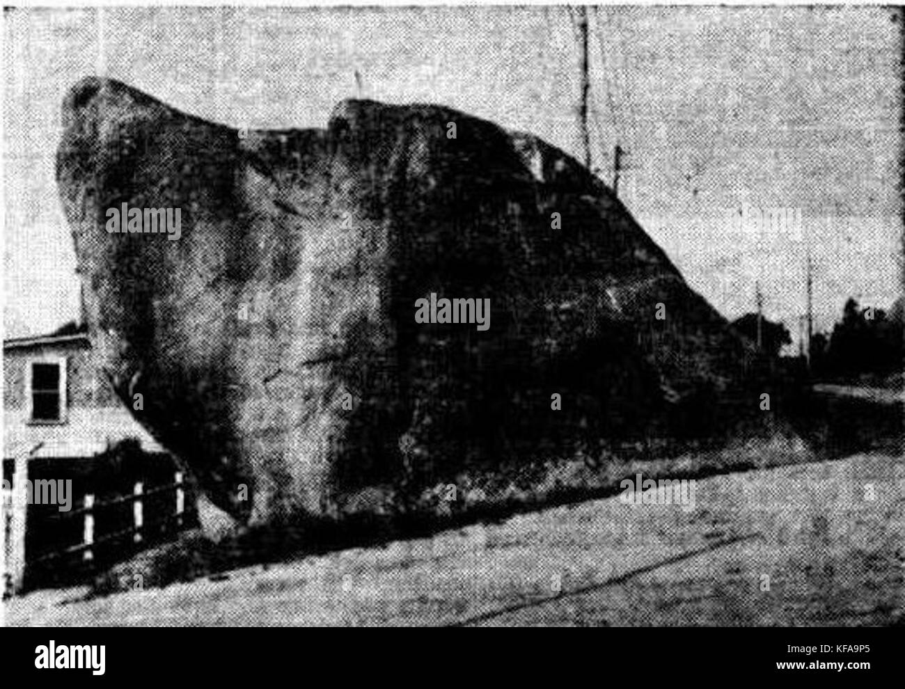 DogRock est une formation rocheuse naturelle unique ressemblant à un chien, située dans une zone spécifique. Son nom vient de sa forme distinctive, qui a suscité l'intérêt des visiteurs et des géologues. Banque D'Images