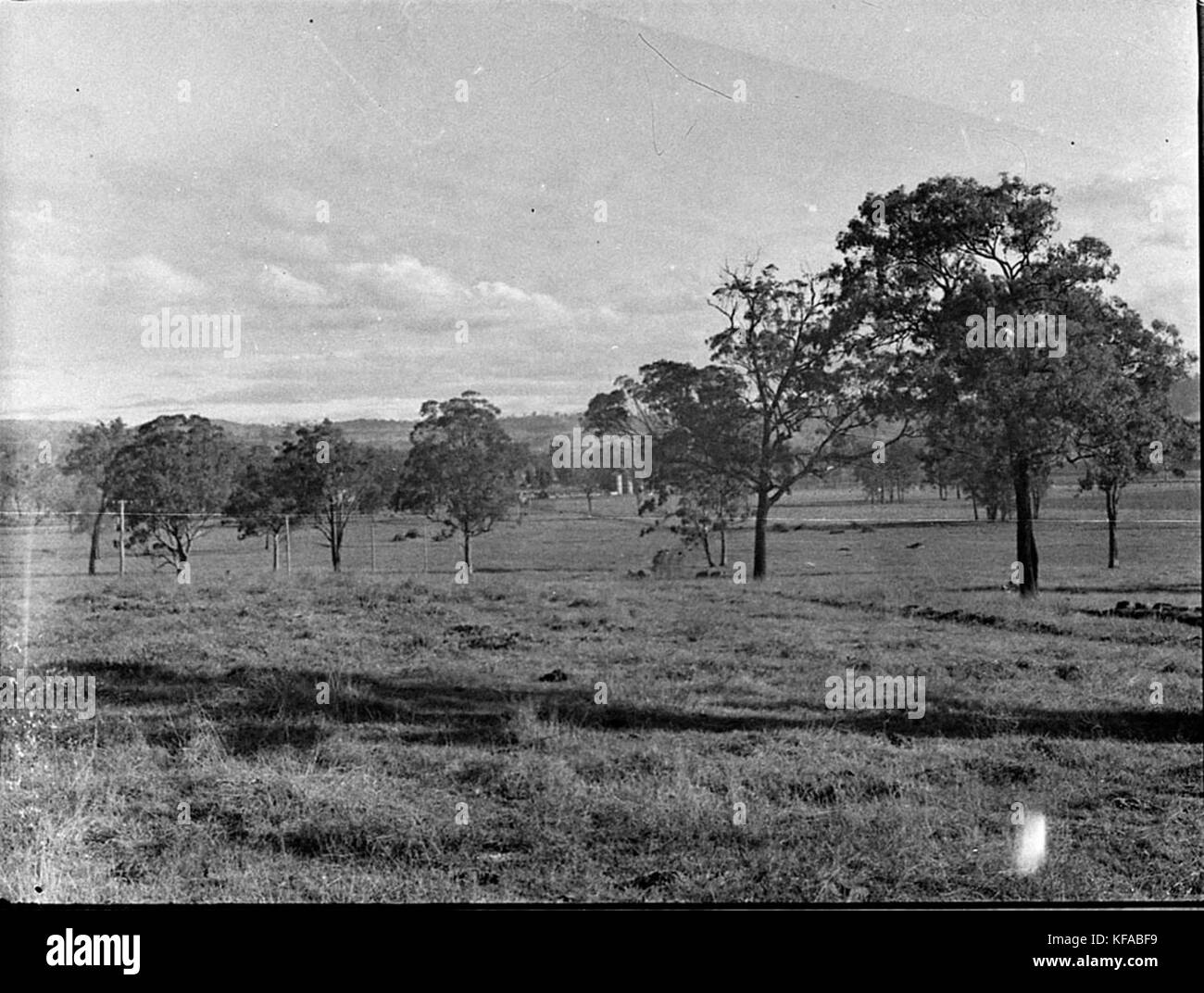 36630 Gilbulla Menangle Road Moreton Park Banque D'Images