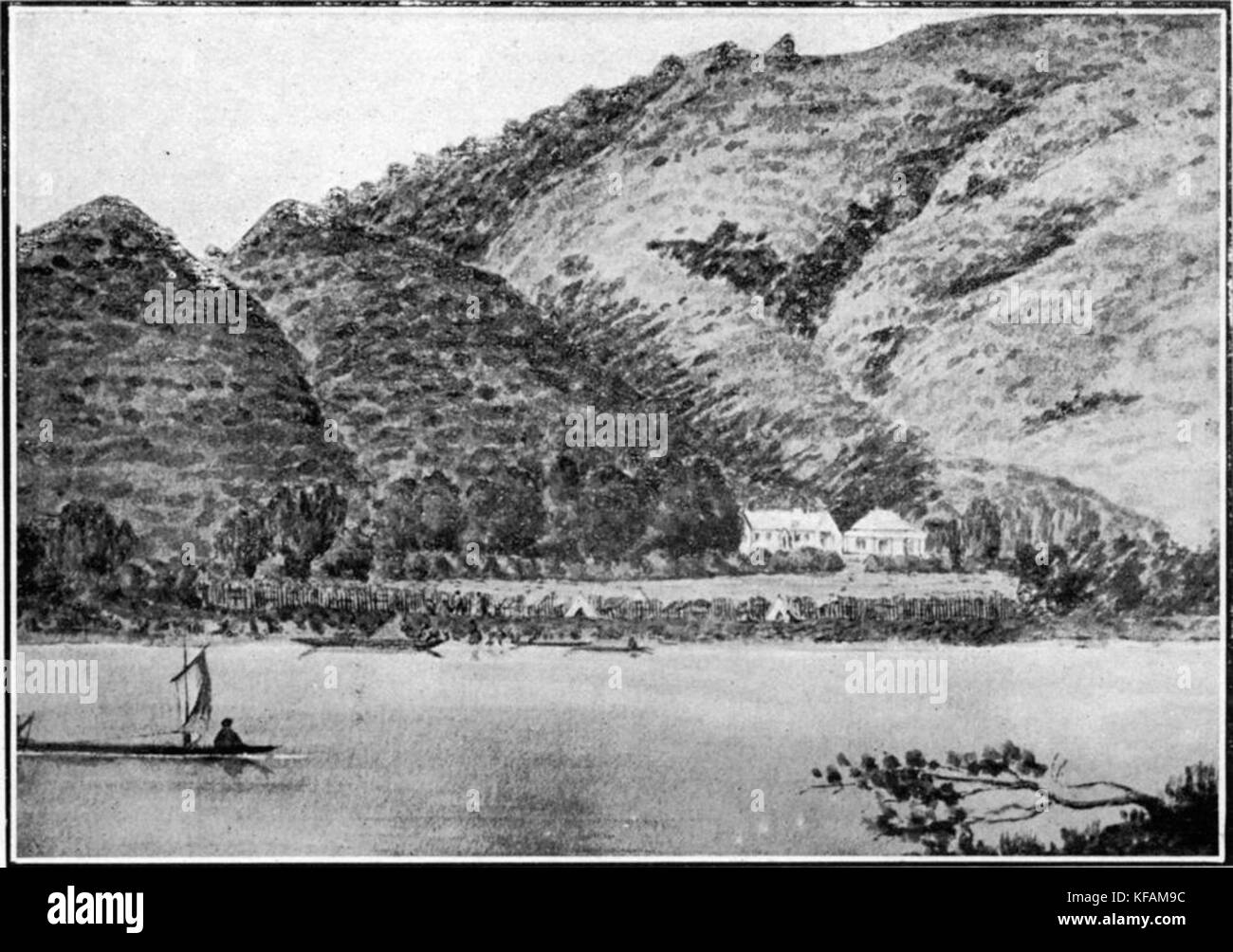 CowOldF P006a Banque D'Images