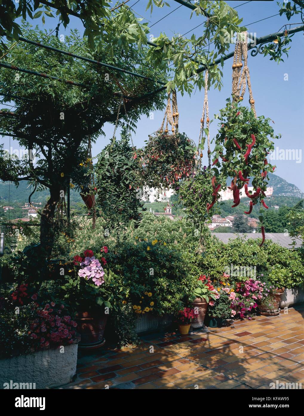Terrasses et balcons fleurs, corbeilles à suspendre Banque D'Images