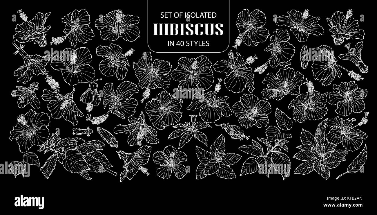 Ensemble d'hibiscus isolés dans 40 styles. cute hand drawn vector illustration fleur contour blanc sur fond noir. Illustration de Vecteur