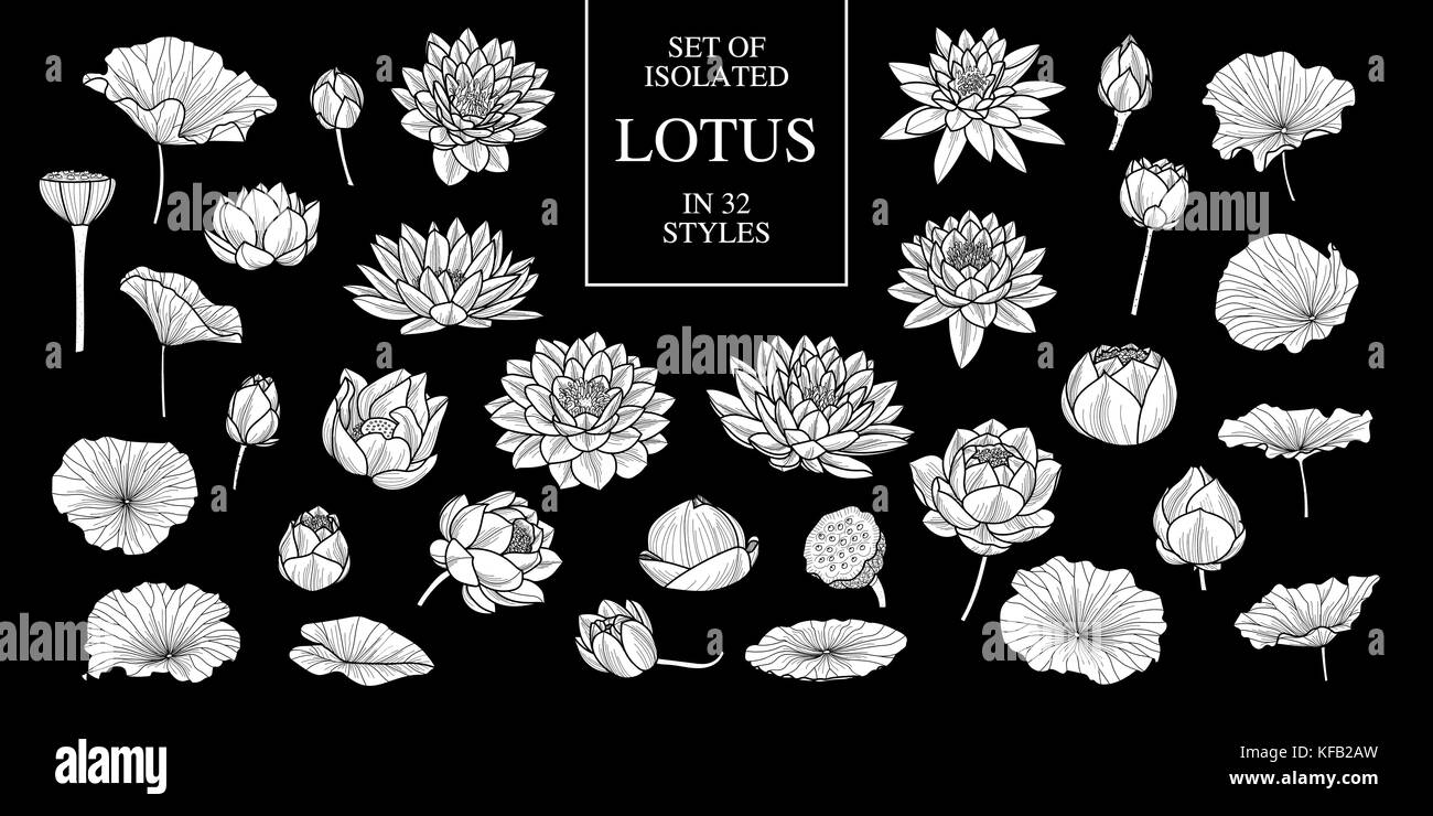 Ensemble de silhouette blanche isolée dans lotus 32 .styles mignon hand drawn vector illustration fleurs en avion blanc et sans contour sur fond noir. Illustration de Vecteur