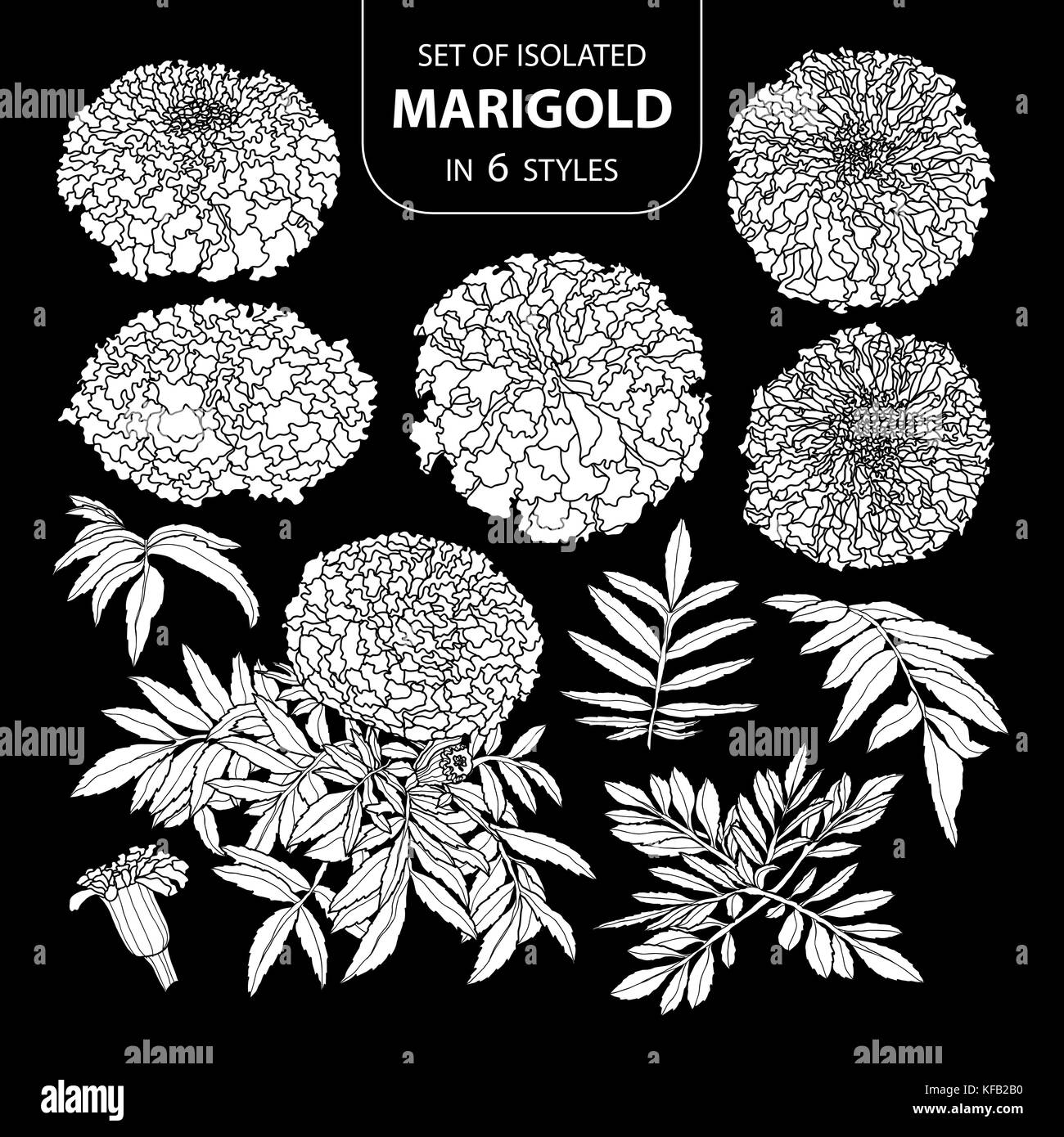 Ensemble de silhouette blanche isolée dans marigold 6 styles .mignon hand drawn vector illustration fleurs en avion blanc et sans contour sur fond noir. Illustration de Vecteur