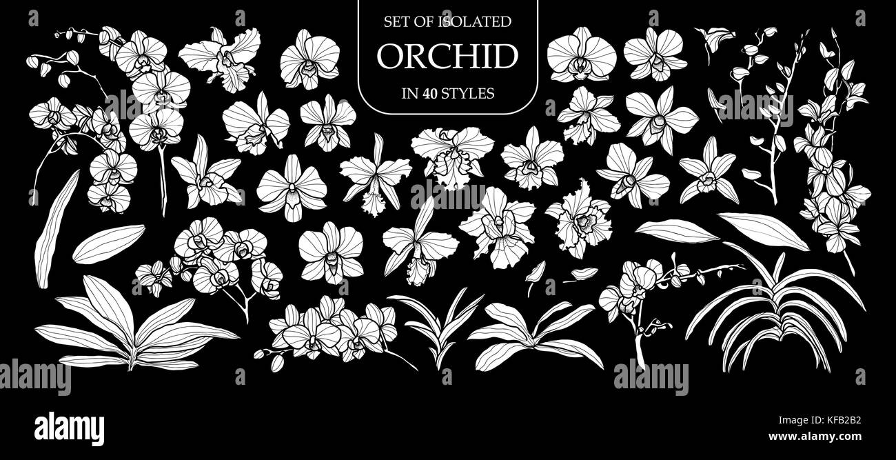 Ensemble d'orchid silhouette blanche isolée dans 40 .styles mignon hand drawn vector illustration fleurs en avion blanc et sans contour sur fond noir. Illustration de Vecteur