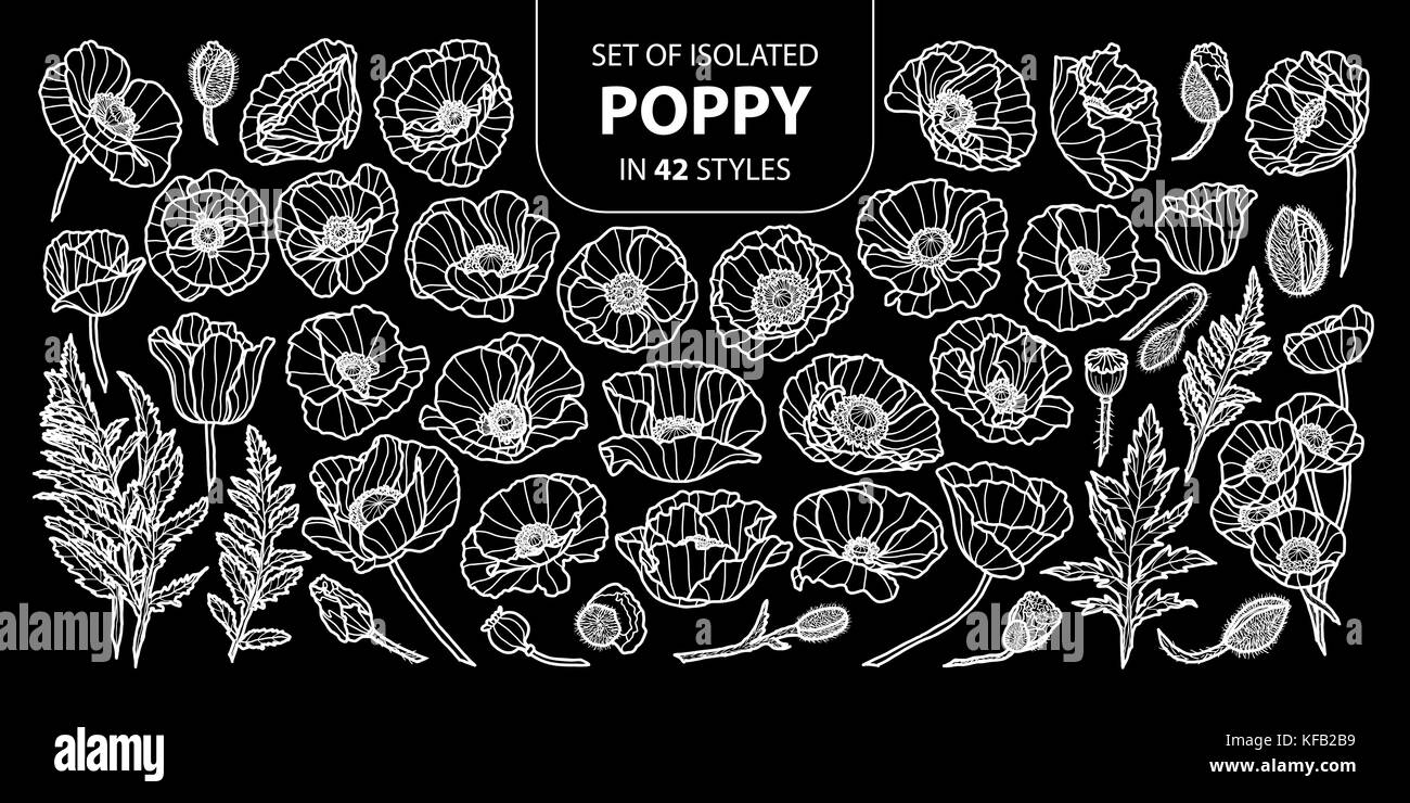 Ensemble de pavot isolés dans 42 styles. cute hand drawn vector illustration fleur contour blanc sur fond noir. Illustration de Vecteur