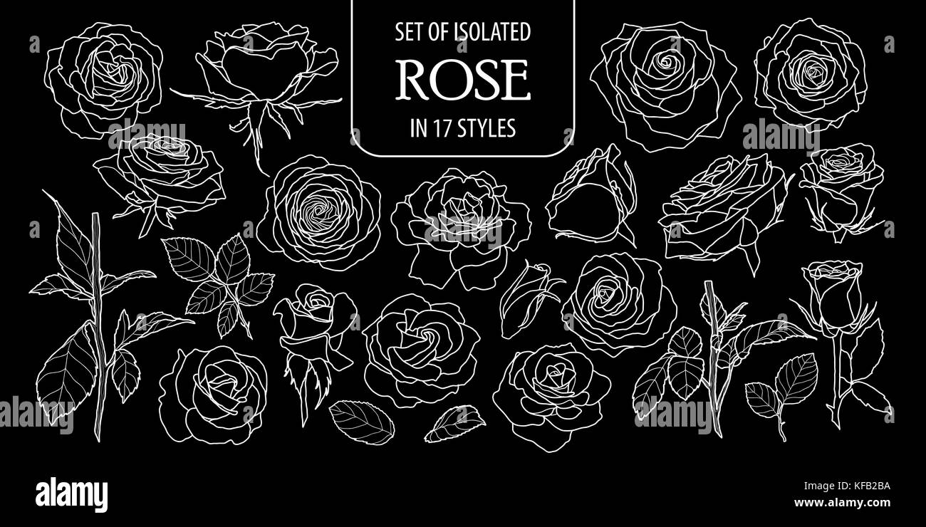 Ensemble de rose isolé dans 17 styles. cute hand drawn vector illustration fleur contour blanc sur fond noir. Illustration de Vecteur