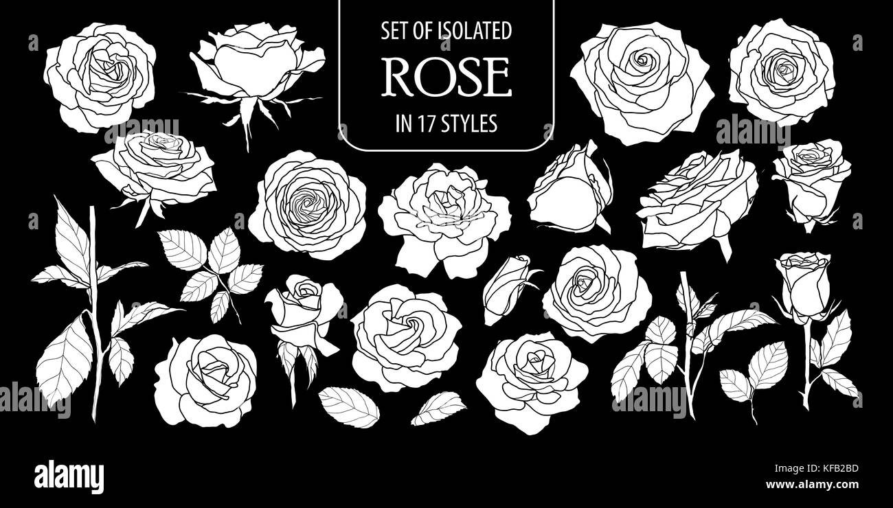 Ensemble de silhouette blanche isolés a augmenté dans 17 .styles mignon hand drawn vector illustration fleurs en avion blanc et sans contour sur fond noir. Illustration de Vecteur