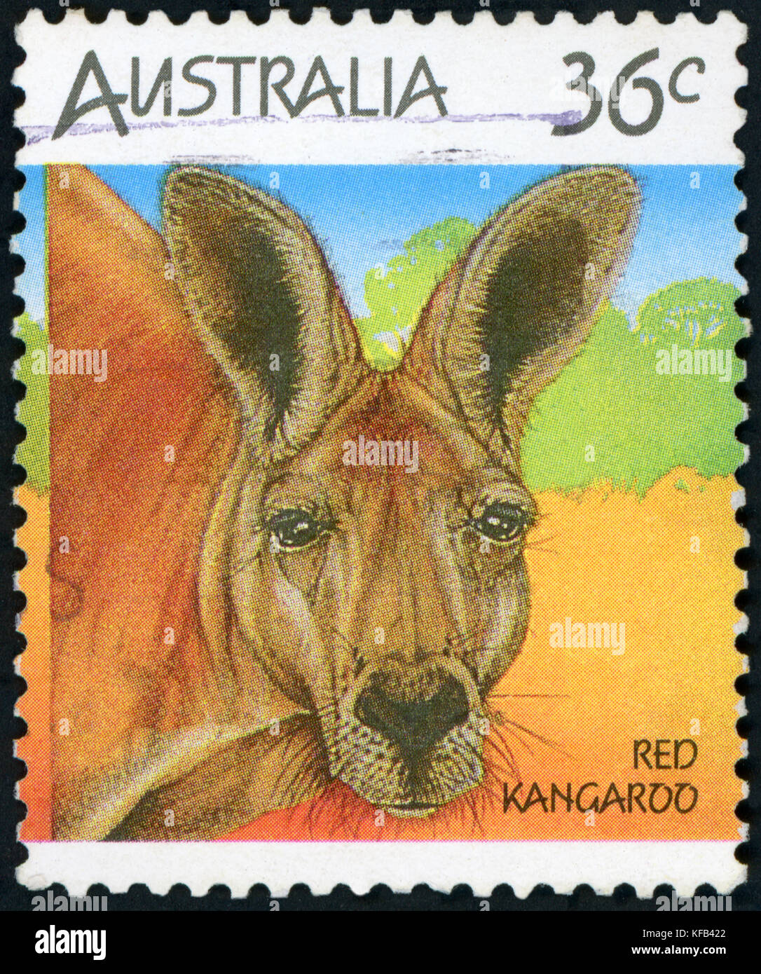 Timbreposte (Australie kangourou rouge Photo Stock Alamy