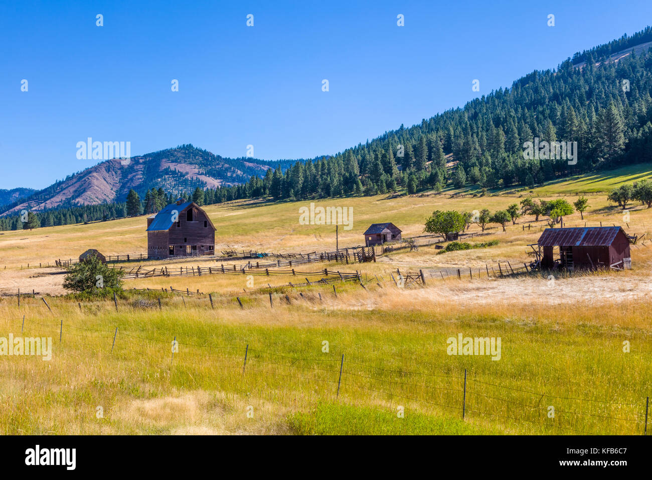 Old Red log barn a connu des jours meilleurs. La détérioration de la  toiture, chalet et peindre toutes les donner un look de baisse générale à  ce classique de western barn Photo