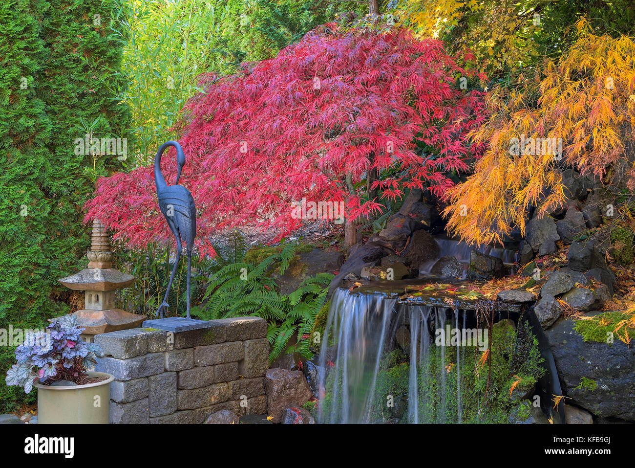Chambre Jardin dans les érables par chute d'étang en automne couleur Banque D'Images