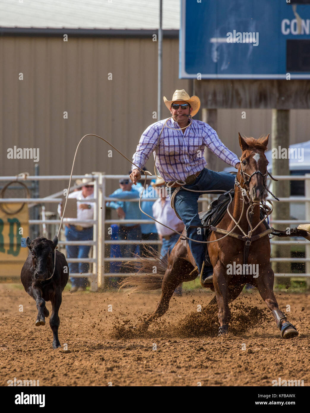 Attacher la corde au 4e événement automne annuel PRCA Rodeo en arcadia florida Banque D'Images