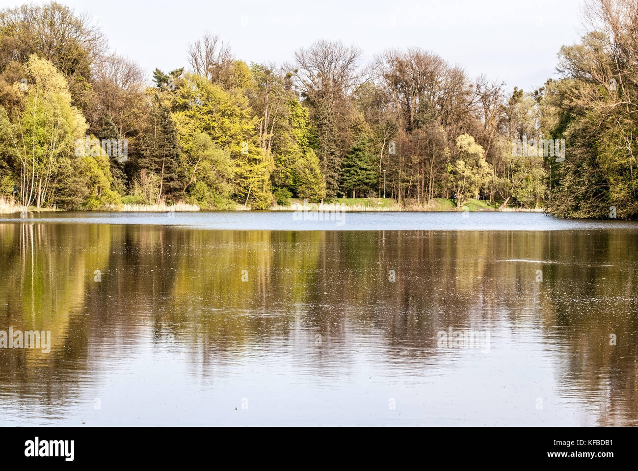 La fin de l'automne parttly lodicky nommé étang couvert de glace avec des arbres autour de la ville de Karvina en République tchèque Banque D'Images