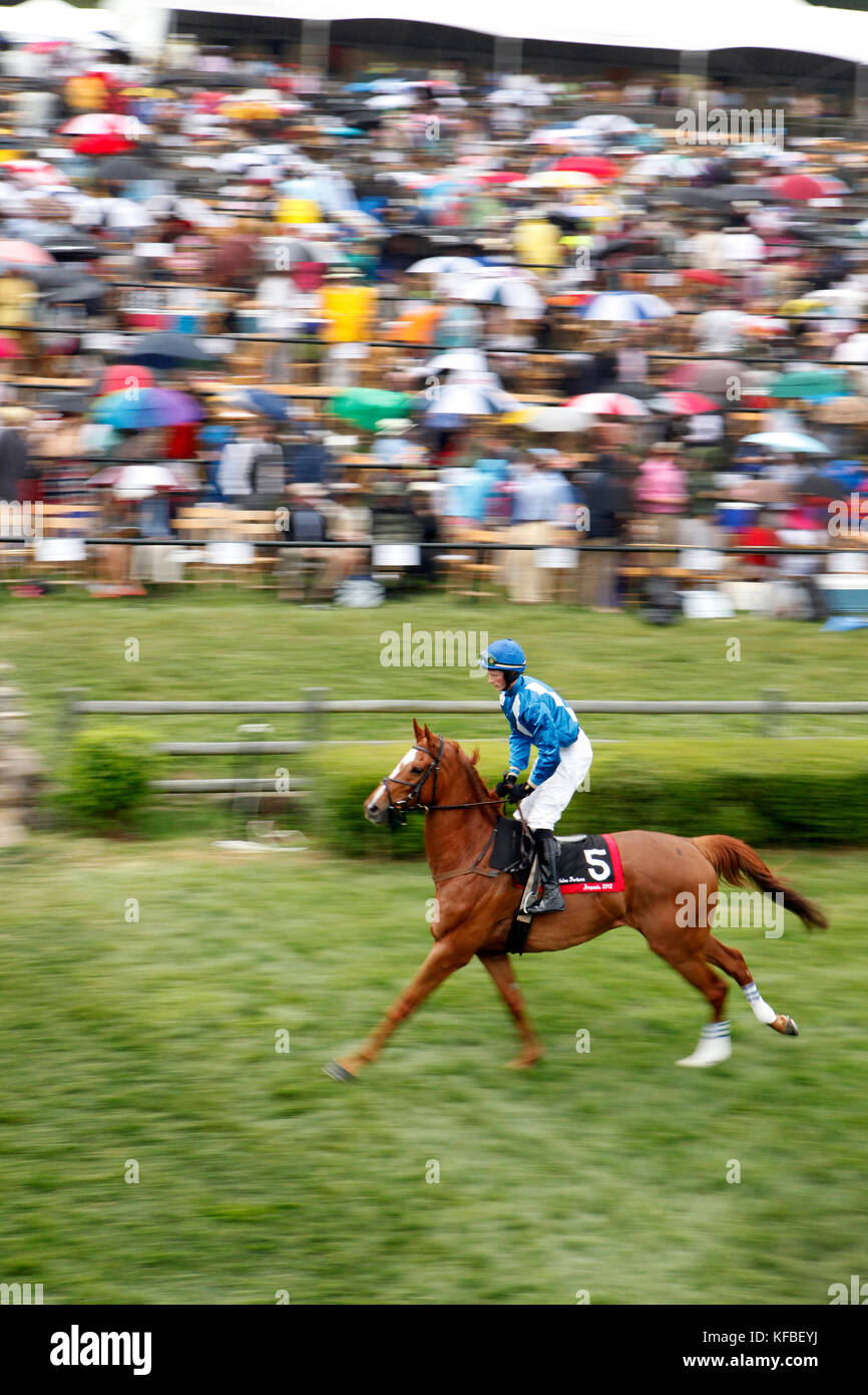 Usa, New York, Nashville, iroquois steeple, un cheval et jockey chauffer pendant la septième et dernière course de la journée Banque D'Images