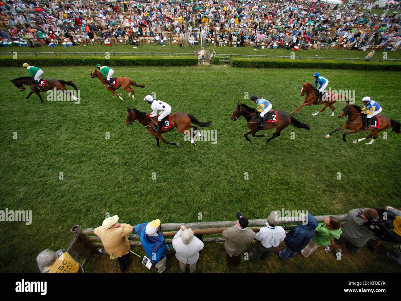 Usa, New York, Nashville, steeplechase iroquois, les chevaux passent sous le fil au deuxième tour de la septième et dernière course Banque D'Images
