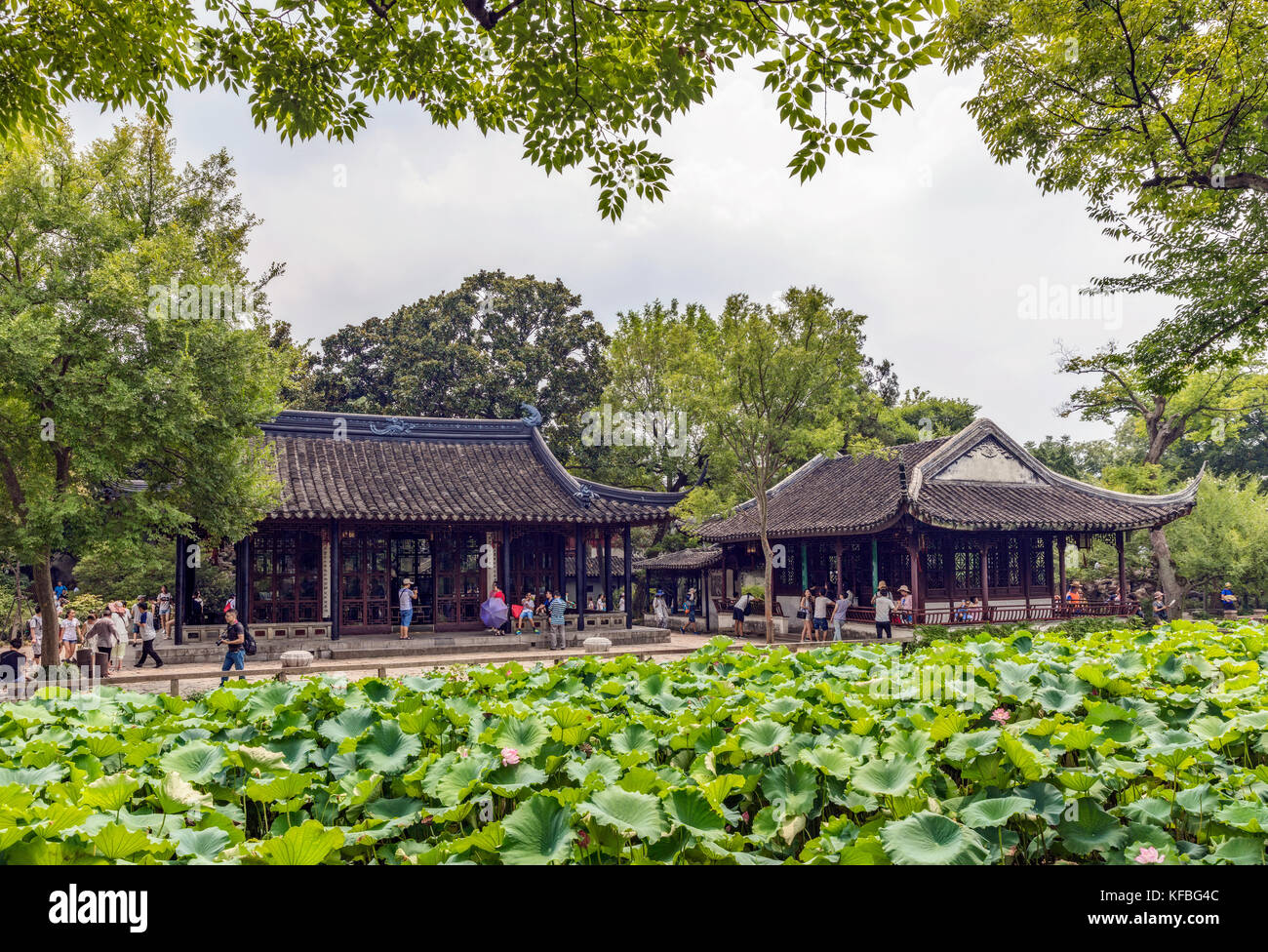 Le Maître des Filets Jardin est parmi les plus beaux jardins de Suzhou alliant l'art, la nature et l'architecture Banque D'Images